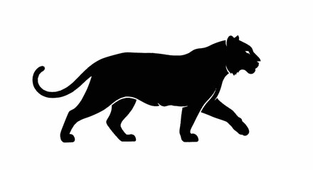 Obraz premium Black panther silhouette walking with tail curled.