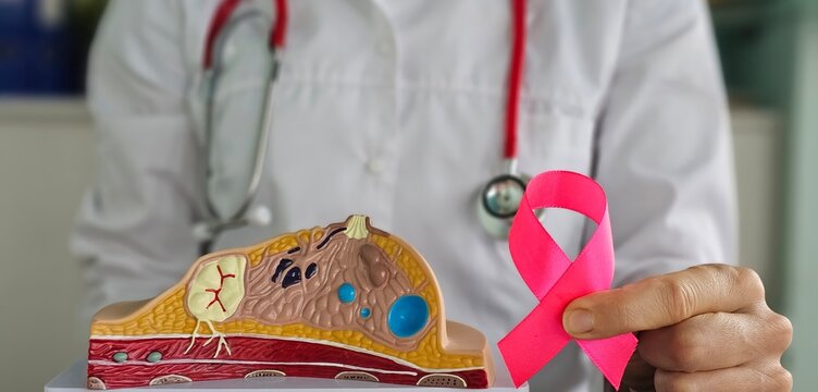 Doctor holds artificial model of breast and pink ribbon concept
