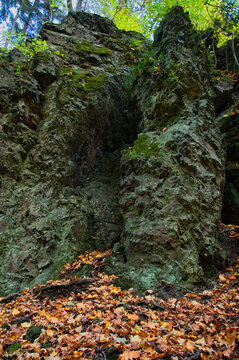 Autumn forest cliff with the mossy denudation monadnock  "Rock Maczuga", fallen leaves and tall trees under a sunlit canopy - Myśliborski Gorge Nature Reserve.