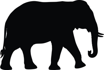 Fototapeta premium Elephant walks with a steady gait to showcase the majestic silhouette of this large land mammal in a minimalist graphic style.