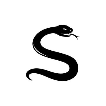 A striking black snake curves and coils forming an elegant s shape silhouette
