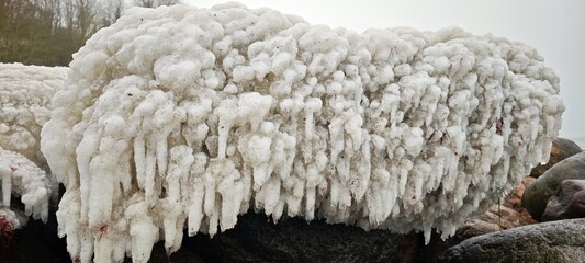 Eispanzer auf Steinen an der Ostsee