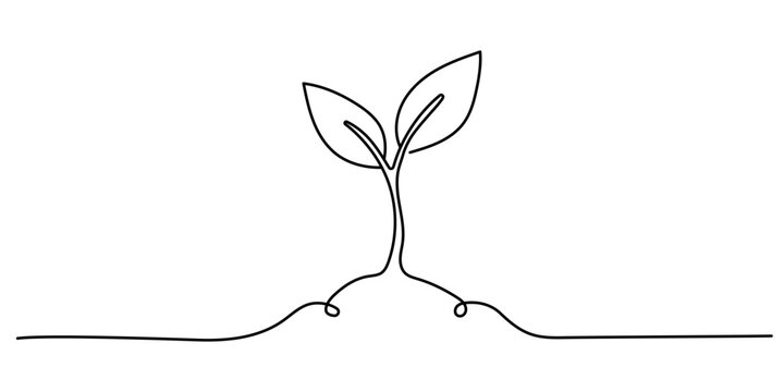 Sprout continuous one line drawing, Seeds sprouting in the ground. Growth, seedling, gardening concept one line. Plant growth process Vector illustration. Editable stroke