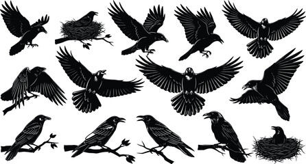 Naklejka premium Black Raven and Crow Silhouette Vector Set Featuring Birds Flying Perching in Nests and Interacting for Gothic Nature Wildlife and Halloween Graphic Design Projects