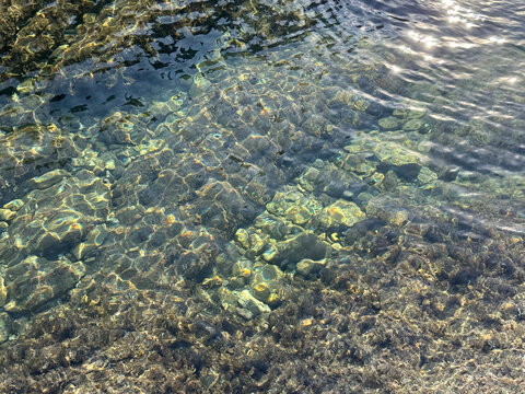 Sea water very clear with pebbles stones and algae at the bottom.