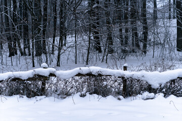 śnieg na płocie © Mateusz