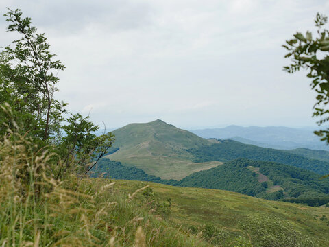 View of the meadows in the Bieszczady Mountains
