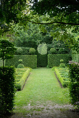 Haie de charme, Buis taill&eacute;, , Jardins de la ferme du mont des R&eacute;collets, Cassel, 59, Nord, France