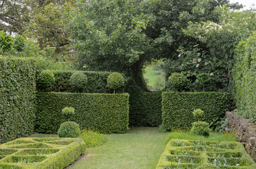 Fototapeta premium Haie de charme, Buis taillé, Jardins de la ferme du mont des Récollet, Cassel, 59, Nord, France