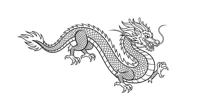 Detailed black and white line art illustration of a mythical Chinese dragon in a powerful slithering pose, featuring scales, whiskers, and flowing mane.