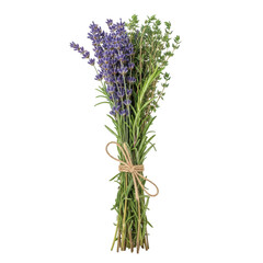 Fototapeta premium Fresh Lavender Thyme Herbs Tied Bundle Isolated Black