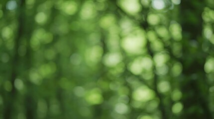 Abstract green forest bokeh background with soft focus leaves and light spots perfect for nature themes and eco friendly designs providing a fresh and calming visual atmosphere for overlays.