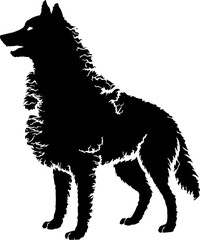 Obraz premium Majestic wolf standing proudly with sharp gaze