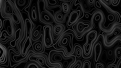 White topographic contour line on black background. Vector abstract topographic map concept with space for your copy. Wavy banners © Creative