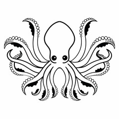 Octopus Line Art Illustration