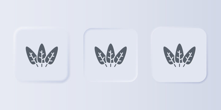Grey Leaf icon isolated on grey background. Leaves sign. Fresh natural product symbol. Set icons in square buttons. Vector