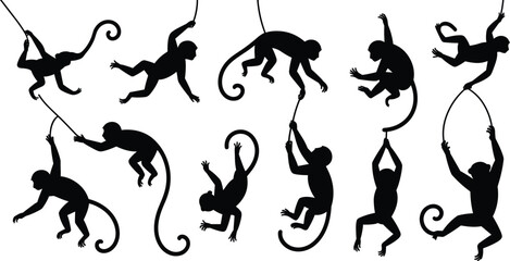 Black Monkey Silhouette Vector Set Featuring Primates Swinging on Vines and Climbing for Jungle Wildlife Graphics Animal Nature Icons and Tropical Zoo Design Projects © MostArjuma