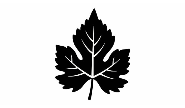 Botanical grape vine leaf icon black silhouette vector