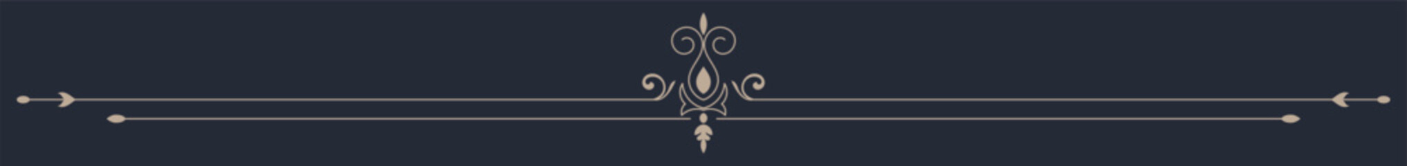 A golden dividing line on a dark blue background decorates the book cover.