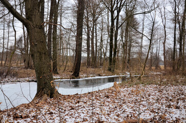 Winter in Straupitz Spreewald 