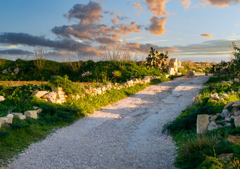Sunlit country path near Nadur on Gozo, lined with stones, green plants and prickly pears under the evening sky