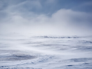 Obraz premium Severe snowstorm sweeps across a flat, icy winter landscape. Swirling snow streaks create motion and harsh frozen terrain.