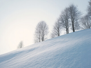 Fototapeta premium Gently sloping hill is covered in snow with leafless trees silhouetted. Pristine countryside highlights peaceful, photogenic seasonal scenery.