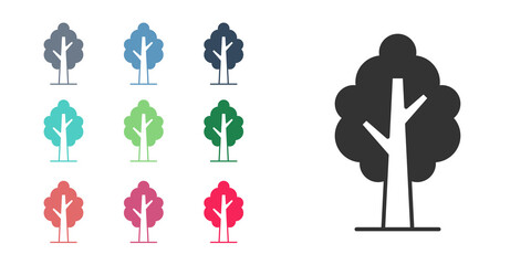 Obraz premium Black Tree icon isolated on white background. Forest symbol. Set icons colorful. Vector