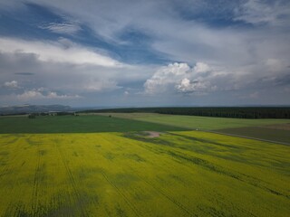 Obraz premium default