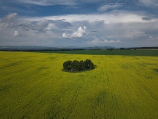 Obraz premium default