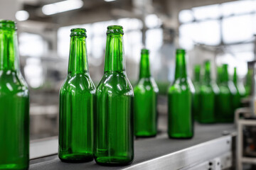 Green glass bottles on conveyor belt in beverage factory production line