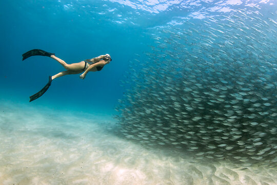 Side view of a woman free diving underwater with an Akule bait ball, Kailua Bay, Kailua Kona, Big Island, Hawaii, USA