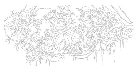 line drawing of hanging plants and vines © Azizi