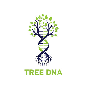 Vector illustration: a green tree with a DNA helix trunk, representing genetic growth and natural life.