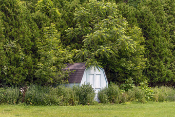 Blue Storage Shed Nestled Among The Trees In Summer In Wisconsin