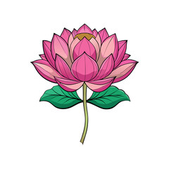 A pink lotus flower with layered petals, green leaves