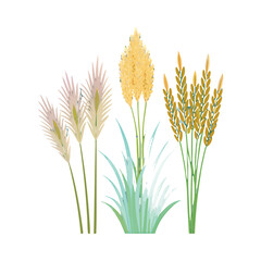 Wild grass plants with golden wheat-like heads, green leaves