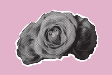 Vector roses in halftone style,cut out elements for collage design 