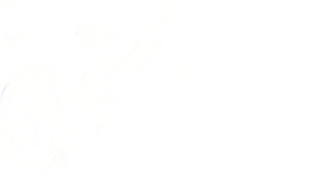 A completely blank space with no visual elements isolated on transparent background