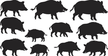 Wild boar silhouettes illustration with tusks, walking and standing poses, black and white artwork, wildlife animals, nature, species, anatomy, design concept