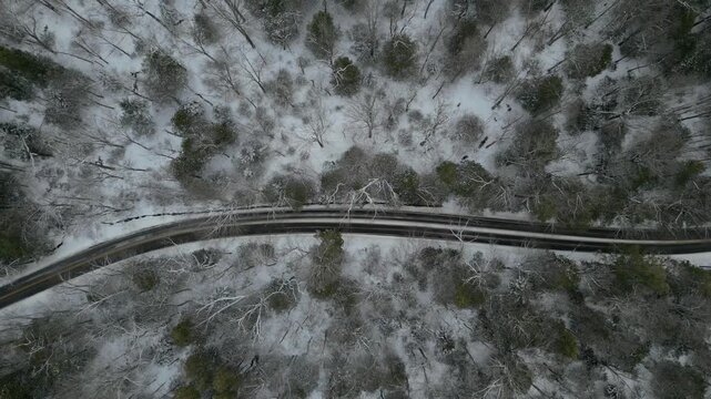 Winding black asphalt road through a snow-covered forest in winter