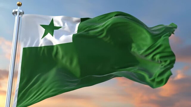Esperanto Flag Waving in Wind at Sunset 4K Video
