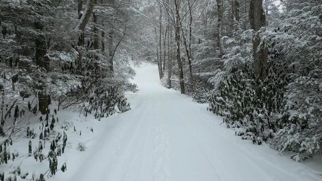 Snow-covered road through a winter forest during snowfall, with heavy snow covering the roadway