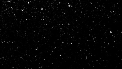 Obraz premium Freeze motion of natural snow falling on black background