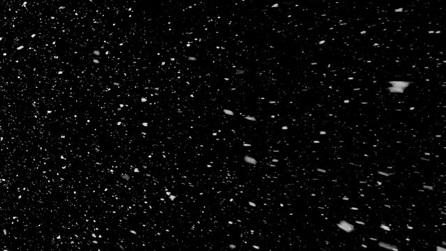 Freeze motion of natural snow falling on black background