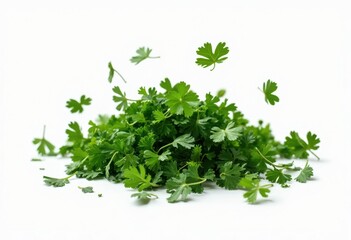 Fototapeta premium Fresh Cilantro Leaves Sprinkled on a White Background