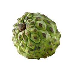 Obraz premium Freshly Harvested Green Cherimoya Fruit Isolated on White Background