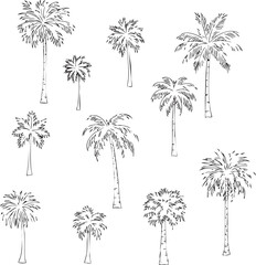 Palm tree icon set, 10 illustrations