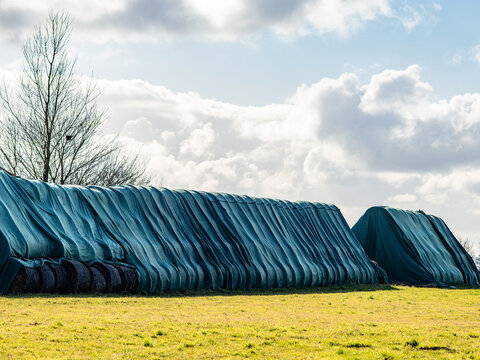 Silageballen lagern im Freien