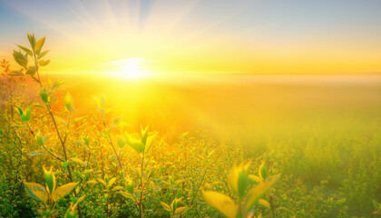 In Your Presence, I Find Peace &ndash; Green Background with Sunrise Hope and Renewal